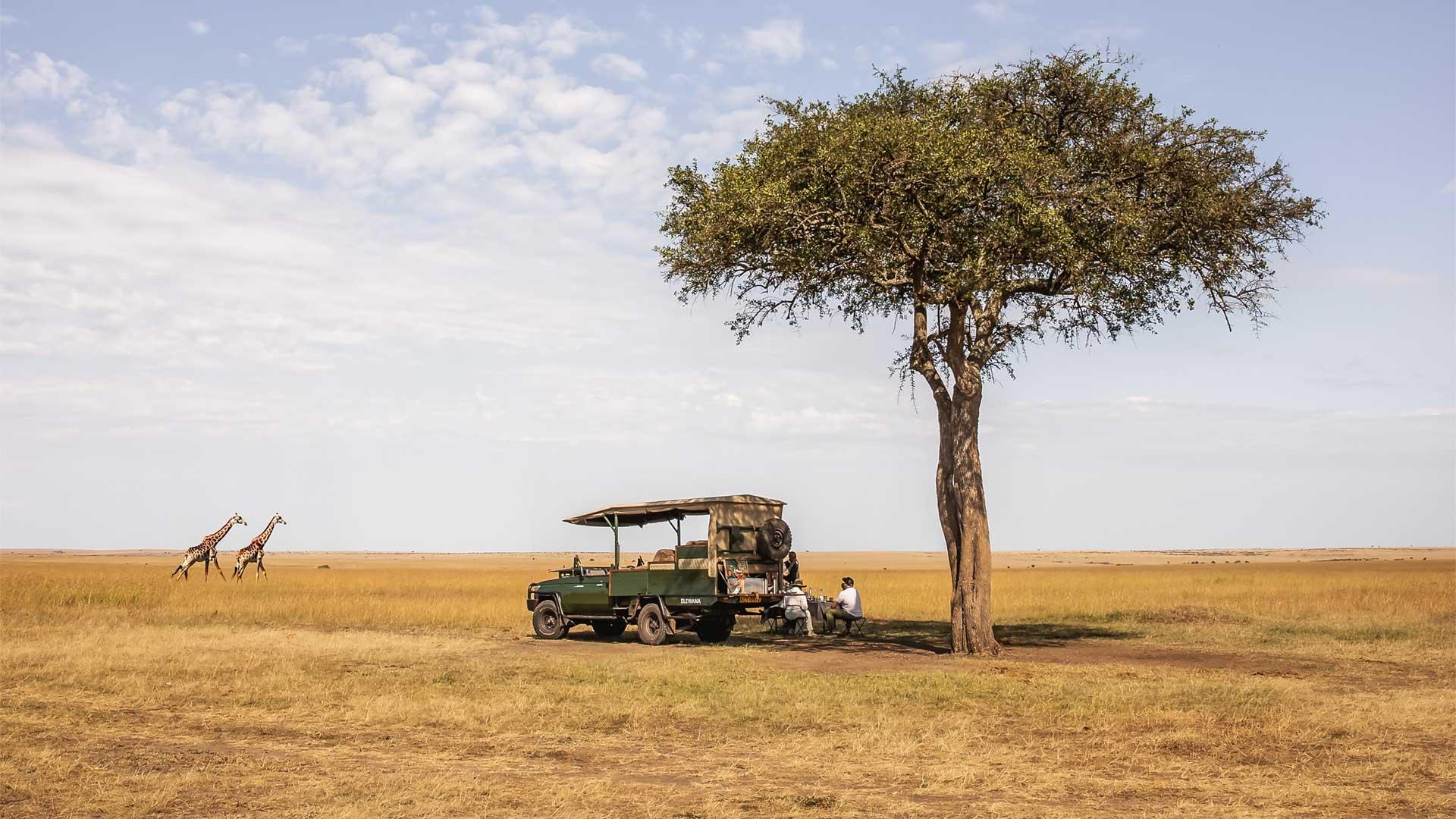 Activity-Elewana-Collection-Kifaru-House-Lewa