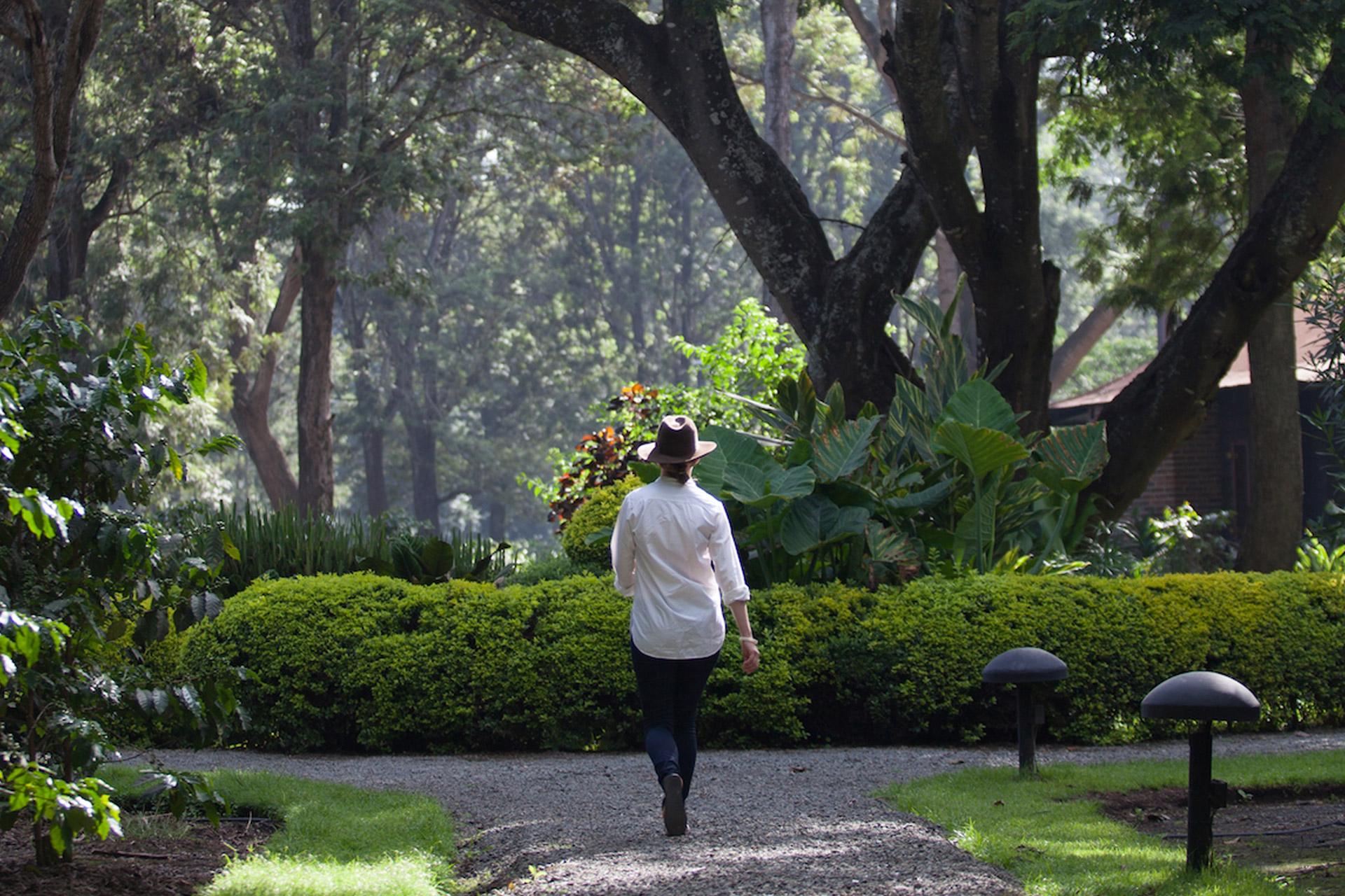 Elewana-collection-Arusha-Coffee-Lodge