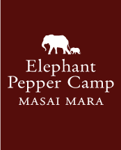 Elephant Pepper Camp Logo