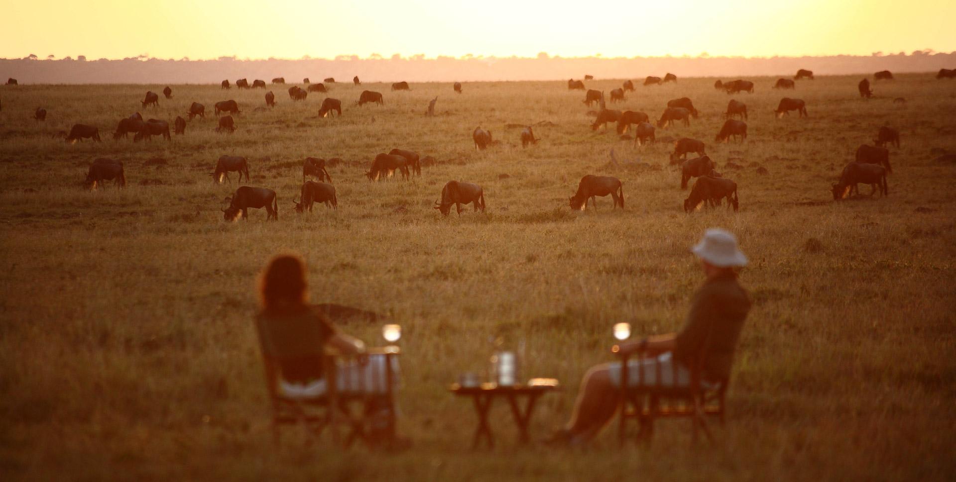 Elephant-Pepper-Camp-Sundowners