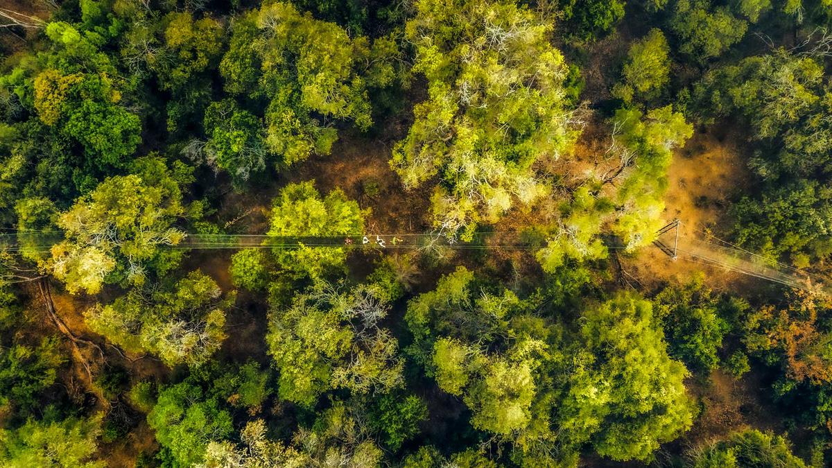 Elewana-Collection-Kifaru-House-Lewa-Forest