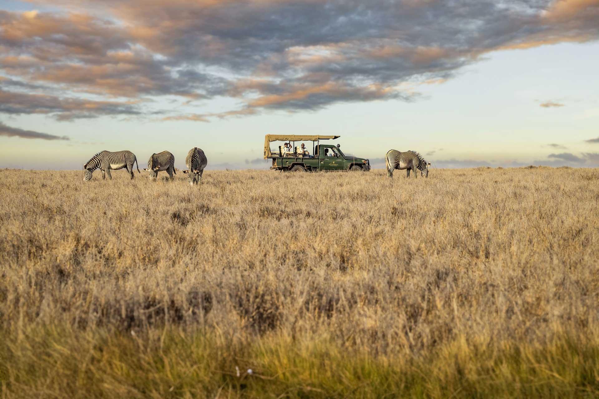 Elewana-Collection-Lewa-Safari-Camp-Activity