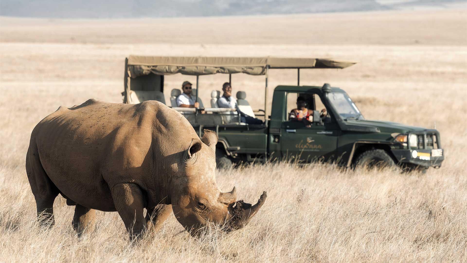 Elewana-Collection-Lewa-Safari-Camp-game-drives