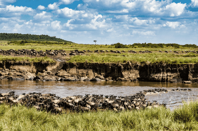 Elewana-collection-serengeti-great-migration