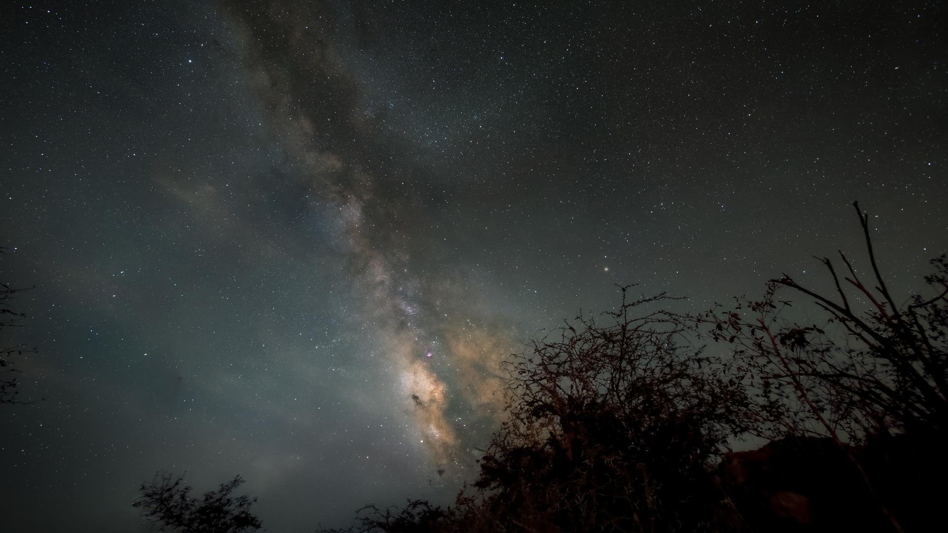 Serengeti-explorer-stargazing