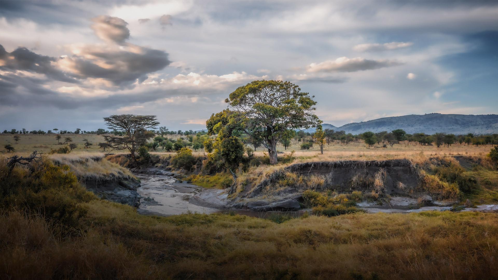 Elewana-collection-tanzania