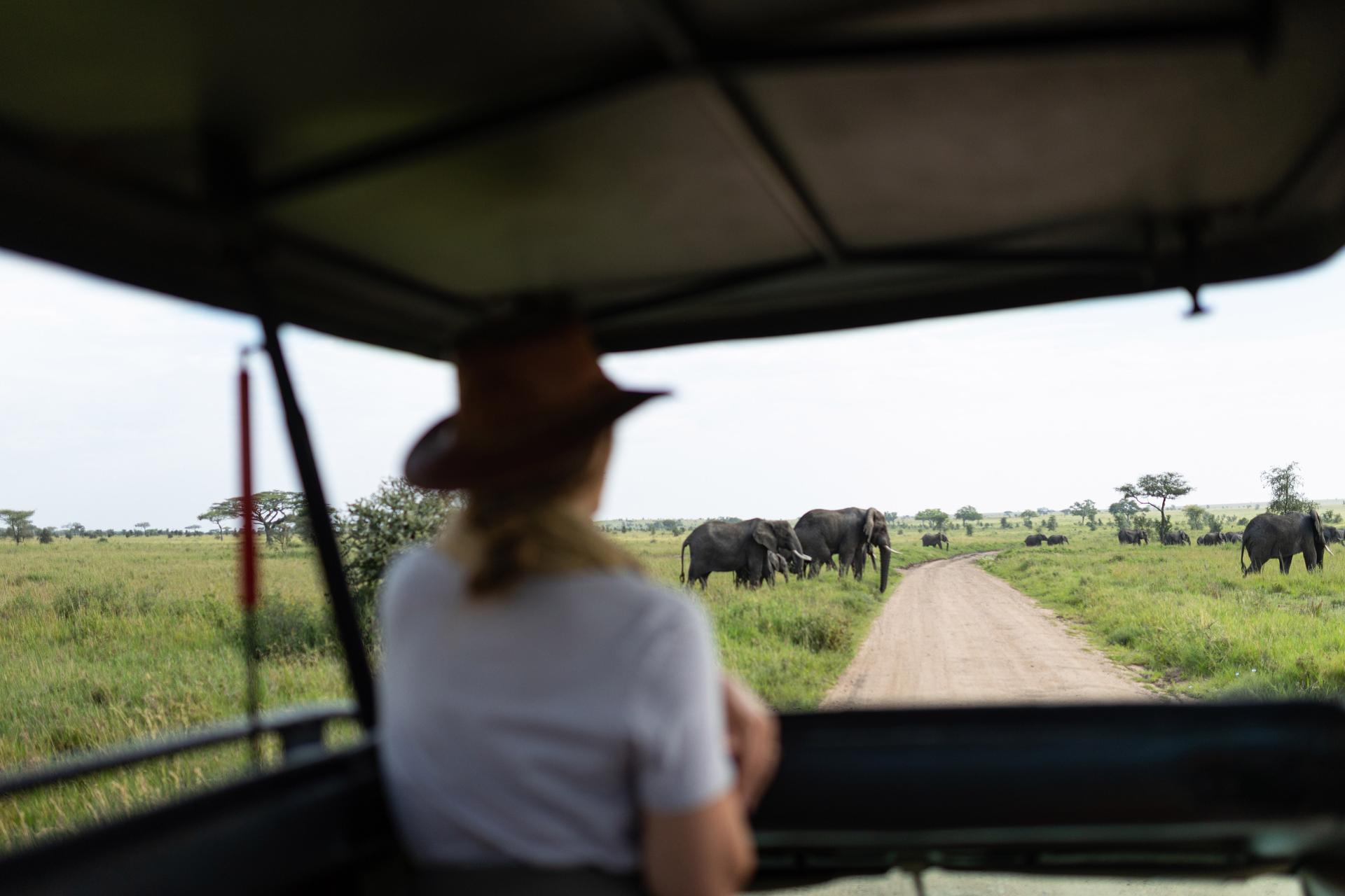 Serengeti-Explorer-Game-Drives